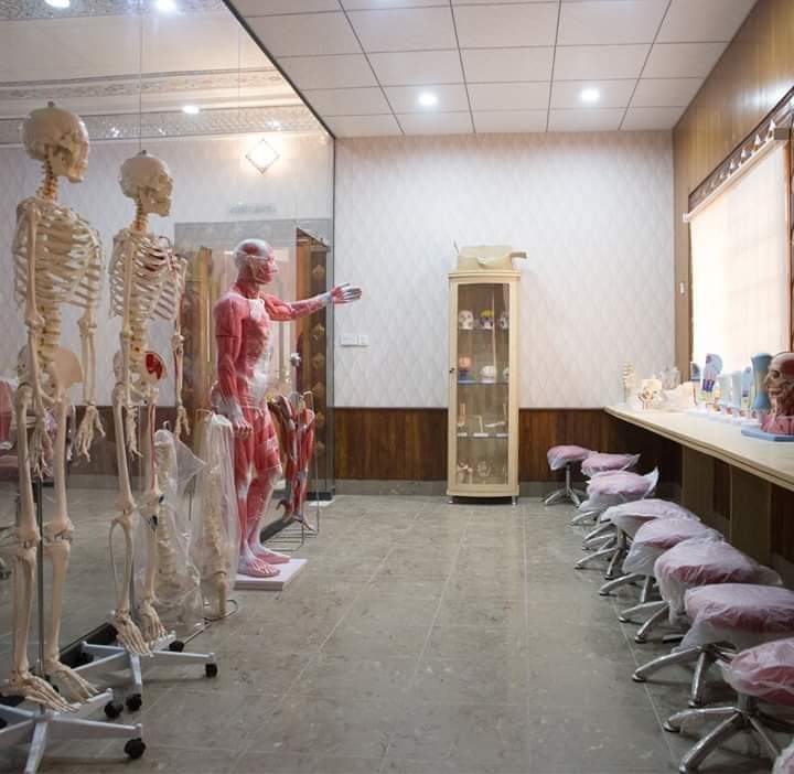 Students in physiotherapy lab